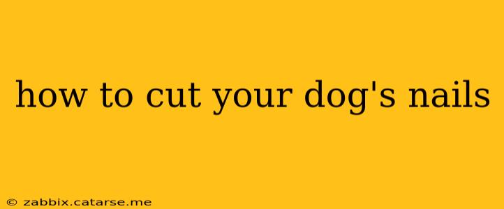how to cut your dog's nails